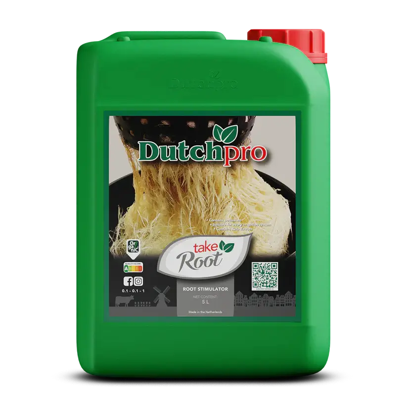 DutchPro Take Root