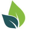 Rootcorner GmbH – We are now a GMBH!