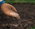 Why Your Plants Aren’t Growing: 5 Mistakes That Kill Growth (And How to Fix Them Fast)