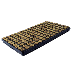 Agra Wool Speedgrow growing medium cubes