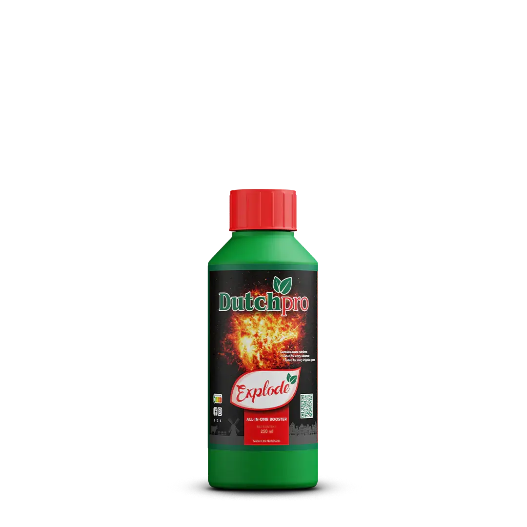 DutchPro Explode | Bloei Booster