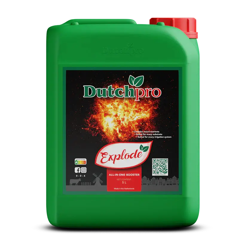 DutchPro Explode | Bloei Booster