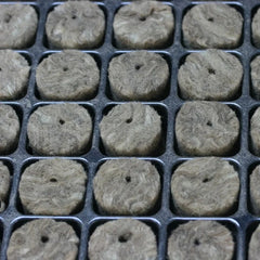 Agra Wool Speedgrow growing medium cubes