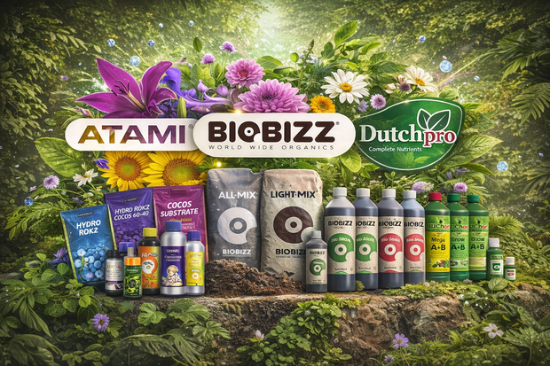 Banner image for: <h2>Everything You Need to Grow</h2>